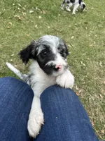 processed/c1a53248-acb4-49be-aa3e-423bbf27568d/listing/2a353aeb-07ad-427e-8835-9685c294aaea/f7cc2322-b087-4e17-946c-36913486ee3b