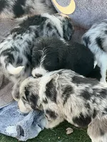 processed/c1a53248-acb4-49be-aa3e-423bbf27568d/listing/597e3d42-51c2-4f6c-94d0-ef1b49332302/e8516beb-6984-4d14-a7bd-1191623fb47a