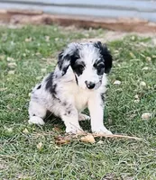 processed/c1a53248-acb4-49be-aa3e-423bbf27568d/listing/a8468c3d-3129-4bc4-a027-161caa932113/377acaf3-f924-4e88-a8ef-a47aeb5f1e73