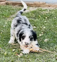 processed/c1a53248-acb4-49be-aa3e-423bbf27568d/listing/a8468c3d-3129-4bc4-a027-161caa932113/7fd55a6e-d664-4dec-a79c-b7a9676efe5b