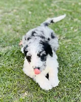 processed/c1a53248-acb4-49be-aa3e-423bbf27568d/listing/a8468c3d-3129-4bc4-a027-161caa932113/f260fb55-e9be-434d-bbbf-67e60f479618