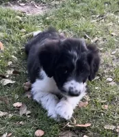 processed/c1a53248-acb4-49be-aa3e-423bbf27568d/listing/add222b7-0350-439a-8a58-3bb4f9086d38/a6cf21d3-f238-43f4-8954-23a50ff12912