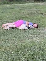 Maverick, a male Aussiedoodle for sale in Madisonville, TX – 6 of 7
