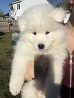 processed/c1a72ae7-acf7-45fc-92bf-92235212db19/listing/d4de26a4-ca70-4e58-b27f-e7e7266d0e0e/4179b216-70d1-414e-a0e4-16880dbba1b5