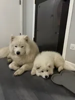 processed/c1a72ae7-acf7-45fc-92bf-92235212db19/listing/d4de26a4-ca70-4e58-b27f-e7e7266d0e0e/45368859-3942-40c6-b559-48deafe7445a