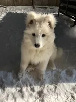 processed/c1a72ae7-acf7-45fc-92bf-92235212db19/listing/d4de26a4-ca70-4e58-b27f-e7e7266d0e0e/5e3bb141-c39d-47f4-9a8f-9151e7c2723c