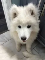 processed/c1a72ae7-acf7-45fc-92bf-92235212db19/listing/d4de26a4-ca70-4e58-b27f-e7e7266d0e0e/ba63c04f-fa21-4e7d-a096-330d5f6095b2