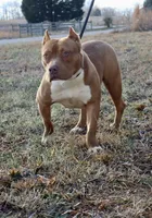 processed/c1c68525-6109-4940-b757-4afb24af4f84/listing/a57f09cd-1730-4605-bc66-63f45c5f624f/14943c2c-e959-47c3-be08-b822f81d81cb