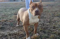 processed/c1c68525-6109-4940-b757-4afb24af4f84/listing/a57f09cd-1730-4605-bc66-63f45c5f624f/34062571-111b-4091-8c95-d4c31046e997