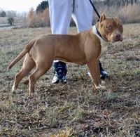 processed/c1c68525-6109-4940-b757-4afb24af4f84/listing/a57f09cd-1730-4605-bc66-63f45c5f624f/d237f48f-09c7-4a08-b3d5-7ebc3e3f969e