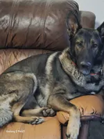 processed/c1cf09b3-22f7-42fe-b036-9b26b4e4af9f/facility/87571d98-f4f1-43dd-b80e-d117fb6c606b