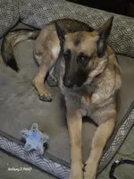 processed/c1cf09b3-22f7-42fe-b036-9b26b4e4af9f/listing/7021f718-be02-48f0-8c80-050c39ac34d8/30be0fb5-aa25-4bb0-8472-32d677e6e9b3