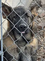 processed/c1cf09b3-22f7-42fe-b036-9b26b4e4af9f/listing/7021f718-be02-48f0-8c80-050c39ac34d8/e8c94975-5911-4b81-9ac4-dc6e10e6dd0e