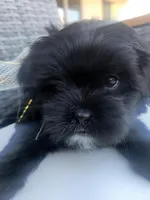 processed/c1d3b159-a80e-4719-8a7c-e1433c16ad9f/facility/d16a4dbc-9d1b-4751-8311-2e90032a5bce