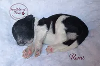 processed/c1d5e140-8e28-41c3-8b94-9ca14a207c51/listing/62442c9c-710b-415d-bfcd-578ee3828b31/8356b4df-107f-4185-9d9f-64e115643408