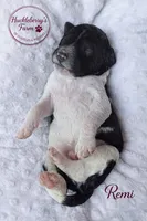 processed/c1d5e140-8e28-41c3-8b94-9ca14a207c51/listing/62442c9c-710b-415d-bfcd-578ee3828b31/b898199d-cbc2-4f5d-acf7-1a8c7f735253