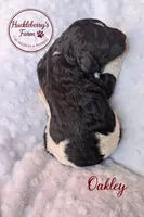 processed/c1d5e140-8e28-41c3-8b94-9ca14a207c51/listing/dbabcf25-0eb6-4afe-a4d5-0bf57c9573ab/48f27453-a1c0-4cf7-b66e-8d8e75d56827