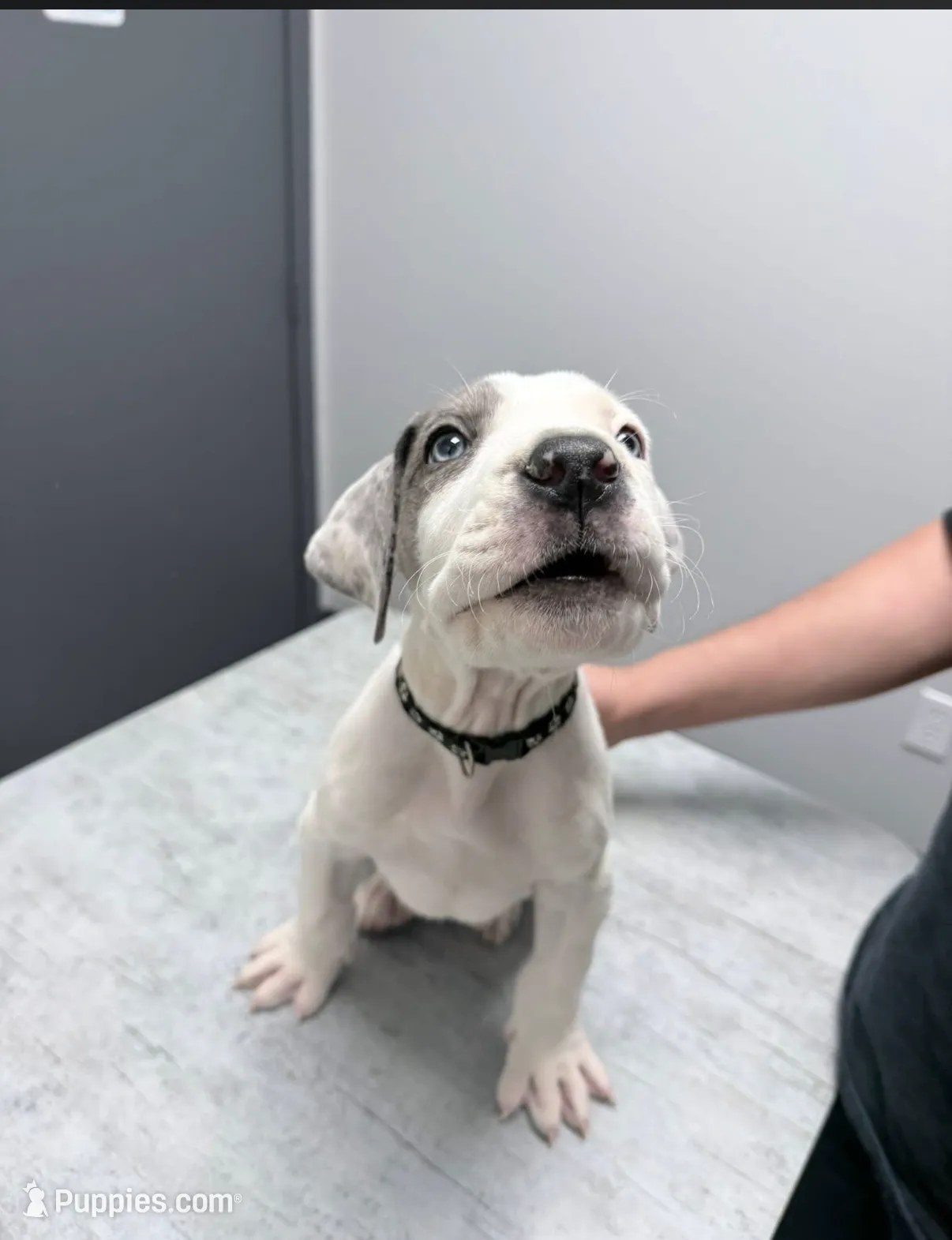 processed/c1e86ddd-6c13-491d-85e4-1d163a0cad7a/listing/d7722054-7d28-42a0-a066-c6f353bc1bab/2efd4b3d-22ee-427d-9701-ad69e3b70e12