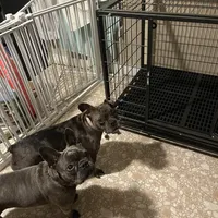 processed/c1e8df39-e81c-4826-b4af-5eb027cf27e1/facility/2b795e27-f803-4717-90a2-4483ad8eab2c