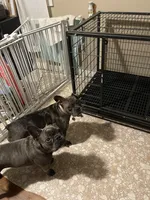 processed/c1e8df39-e81c-4826-b4af-5eb027cf27e1/facility/2b795e27-f803-4717-90a2-4483ad8eab2c