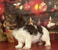 processed/c1e8df39-e81c-4826-b4af-5eb027cf27e1/listing/3847eb63-662f-4808-a447-ac13840d1ebd/0e76ec3f-8448-4207-b1fa-63407734005f