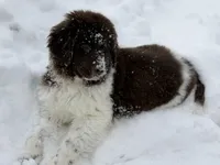 processed/c1e8df39-e81c-4826-b4af-5eb027cf27e1/listing/3847eb63-662f-4808-a447-ac13840d1ebd/139b216f-c2a5-4d70-b399-4f0b17d0ec4c