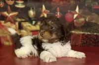 processed/c1e8df39-e81c-4826-b4af-5eb027cf27e1/listing/3847eb63-662f-4808-a447-ac13840d1ebd/1ba968f6-10d8-475c-9177-191f6ec12109