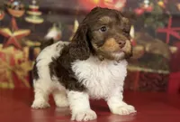 processed/c1e8df39-e81c-4826-b4af-5eb027cf27e1/listing/3847eb63-662f-4808-a447-ac13840d1ebd/5b042a9c-ff1b-499d-a609-e1e821b89be8