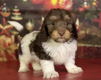 processed/c1e8df39-e81c-4826-b4af-5eb027cf27e1/listing/3847eb63-662f-4808-a447-ac13840d1ebd/911d522f-d06c-4cbd-a3e5-178a533941e9