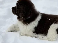 processed/c1e8df39-e81c-4826-b4af-5eb027cf27e1/listing/3847eb63-662f-4808-a447-ac13840d1ebd/96d96514-f405-44a0-945c-91756d981220