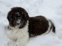 processed/c1e8df39-e81c-4826-b4af-5eb027cf27e1/listing/3847eb63-662f-4808-a447-ac13840d1ebd/aa68ff78-f4da-4ba0-96a7-1f32bc4232df