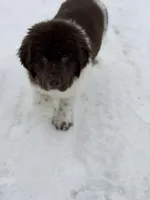 processed/c1e8df39-e81c-4826-b4af-5eb027cf27e1/listing/3847eb63-662f-4808-a447-ac13840d1ebd/b3a3f8f2-6a86-41d1-a7ea-79808b142f42