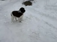 processed/c1e8df39-e81c-4826-b4af-5eb027cf27e1/listing/3847eb63-662f-4808-a447-ac13840d1ebd/df1d3826-5f0d-4dad-9776-cff76cdf0d1b