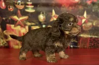 processed/c1e8df39-e81c-4826-b4af-5eb027cf27e1/listing/405ff9fa-52cc-4738-b229-b25b48ce3914/0b237446-d1f9-4ff1-9aa3-ec112ac2364e