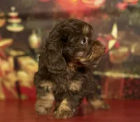 processed/c1e8df39-e81c-4826-b4af-5eb027cf27e1/listing/405ff9fa-52cc-4738-b229-b25b48ce3914/3258c1cc-e4ea-49a0-821c-7a02465582d8