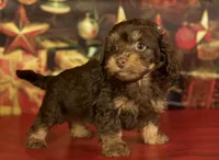 processed/c1e8df39-e81c-4826-b4af-5eb027cf27e1/listing/405ff9fa-52cc-4738-b229-b25b48ce3914/424654a0-b9eb-43a9-8604-dbb60692e294