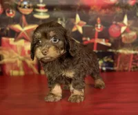 processed/c1e8df39-e81c-4826-b4af-5eb027cf27e1/listing/405ff9fa-52cc-4738-b229-b25b48ce3914/4985b529-b3e6-46eb-a9b3-35f5ac18960d