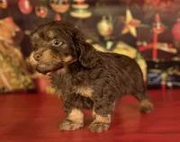 processed/c1e8df39-e81c-4826-b4af-5eb027cf27e1/listing/405ff9fa-52cc-4738-b229-b25b48ce3914/7bdfbaab-b26b-4a51-ae4b-1cf27b31d4e8