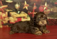 processed/c1e8df39-e81c-4826-b4af-5eb027cf27e1/listing/405ff9fa-52cc-4738-b229-b25b48ce3914/85f5a25d-1c19-4f94-ae0a-e68cf4a71045