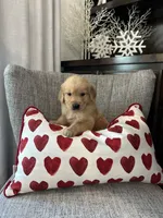 processed/c1ee6afa-850a-45c5-b68b-08cdd50c6955/listing/fe3d9e35-f070-4d99-a973-6983d16e50db/2a05ad9e-08ba-4ffb-8293-0f0410827664