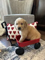 processed/c1ee6afa-850a-45c5-b68b-08cdd50c6955/listing/fe3d9e35-f070-4d99-a973-6983d16e50db/e671c195-9322-4265-92a5-6411cd5600d3