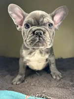 processed/c1f5c8ce-e00f-446a-b478-167858acc119/listing/944ed67e-5e5e-4897-b9c9-4eb9f9235702/45683923-cdaa-4619-b8a8-31cce85b2757