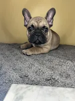 processed/c1f5c8ce-e00f-446a-b478-167858acc119/listing/96b0b60e-d35a-4abc-b319-f42b0b0d4ba6/007774bb-eeb6-4222-8ff4-d885dea177c9