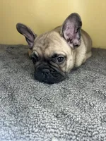 processed/c1f5c8ce-e00f-446a-b478-167858acc119/listing/96b0b60e-d35a-4abc-b319-f42b0b0d4ba6/2dc726e1-d38b-4407-a760-0769947d794c