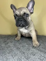 processed/c1f5c8ce-e00f-446a-b478-167858acc119/listing/96b0b60e-d35a-4abc-b319-f42b0b0d4ba6/c3f44136-5202-4c55-8a2f-9861c37ceead