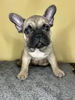 processed/c1f5c8ce-e00f-446a-b478-167858acc119/listing/96b0b60e-d35a-4abc-b319-f42b0b0d4ba6/d4209b47-dd01-45bb-9b6c-2b90889e3eed