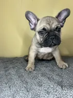 processed/c1f5c8ce-e00f-446a-b478-167858acc119/listing/96b0b60e-d35a-4abc-b319-f42b0b0d4ba6/ef181182-b27e-40bc-9127-6b2a74b69641