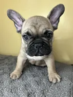 processed/c1f5c8ce-e00f-446a-b478-167858acc119/listing/96b0b60e-d35a-4abc-b319-f42b0b0d4ba6/f3234e9a-0833-4008-bea7-02de9cb37ce0