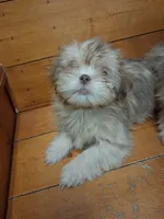 processed/c1f72e15-2ccc-4a8b-935c-0de0b3b07fcf/listing/a02cb491-ac7b-45b8-a427-dbf16202572b/844118a5-f44a-4fec-b782-abd7a9dc5b8e