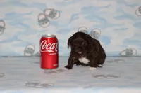 processed/c1fe3402-e96f-4e6f-a54f-d367090e9393/listing/7d2e30f4-29fb-401e-af70-e4576a787291/5bc11e45-cd37-4fed-987f-460ee2391824